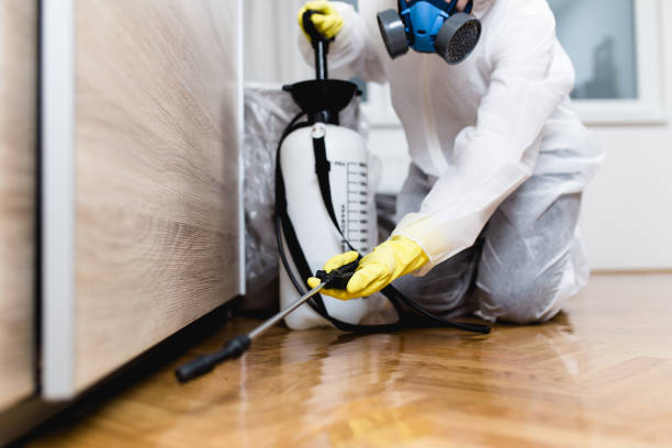 Best Affordable Pest Control Services  in Klamath Falls, OR