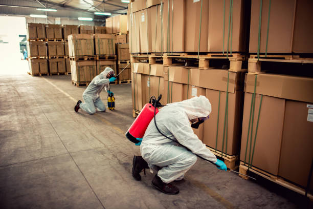 Best Bed Bug Extermination  in Klamath Falls, OR