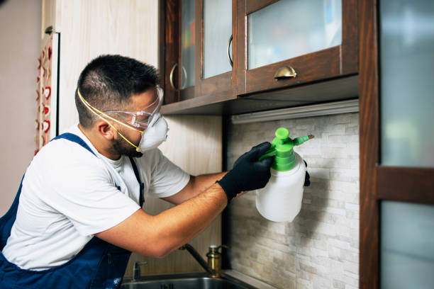 Reliable Klamath Falls, OR Pest Control Solutions