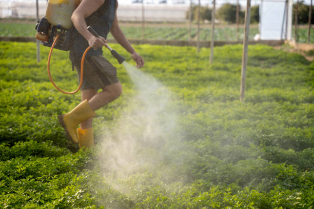 Flea Control Services in Klamath Falls, OR