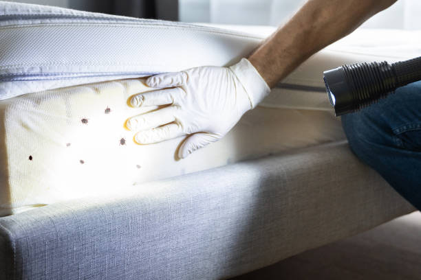 Best Mosquito Control Services  in Klamath Falls, OR