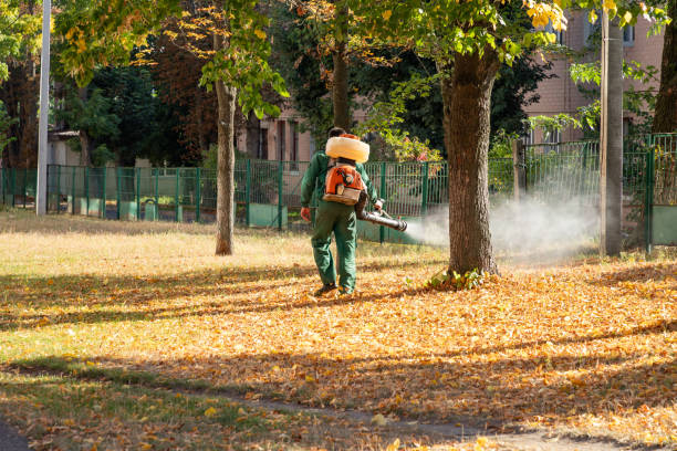 Best Affordable Pest Control Services  in Klamath Falls, OR