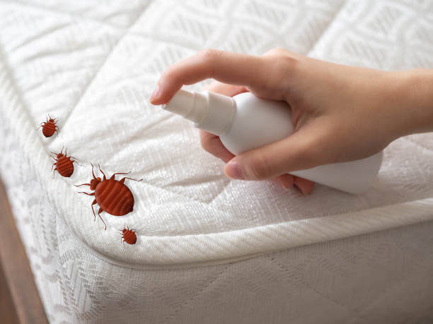 Best Pest Control Near Me in Klamath Falls, OR